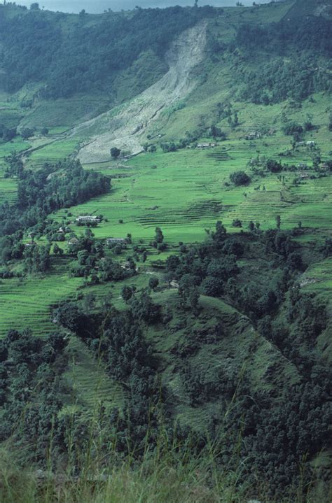 HOTELS IN NEPAL: The forests in Nepal