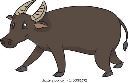 Tamaraw Images, Stock Photos & Vectors | Shutterstock