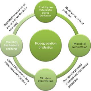 Process of biodegradation | Download Scientific Diagram