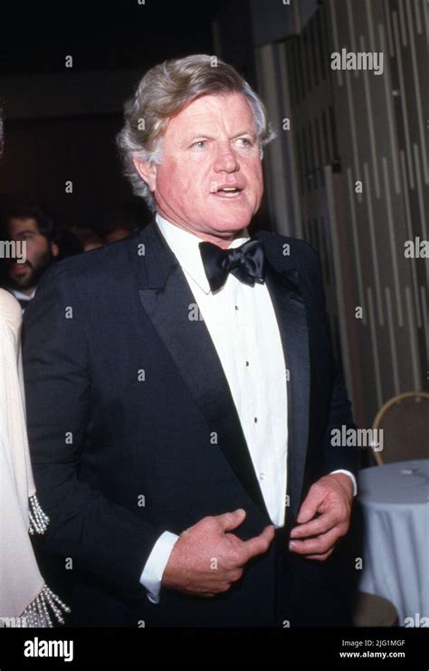 Ted Kennedy Circa 1980's Credit: Ralph Dominguez/MediaPunch Stock Photo - Alamy