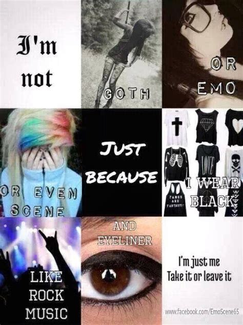 Pin by 🖤Ruby🖤😈🖕 on ~S C E N E~ | Emo quotes, Rock music, Emo