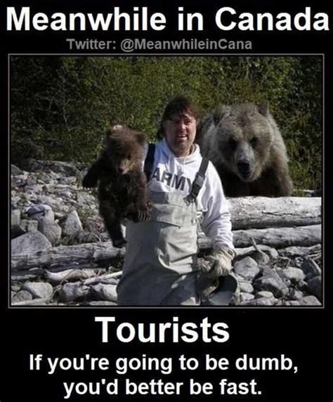 47 Funny Canadian Memes Will Only Make Sense if You Live in Canada | Canadian memes, Funny ...