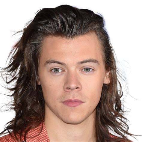 Harry Styles PNG Transparent Images | PNG All