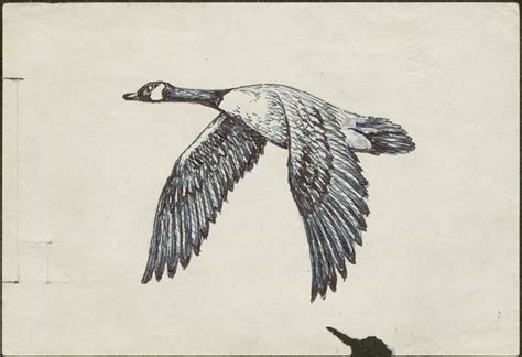 Flying Geese Drawing at GetDrawings | Free download