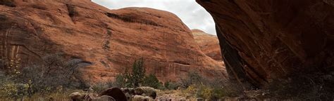 Rainbow Bridge South Trail, Utah - 25 Reviews, Map | AllTrails