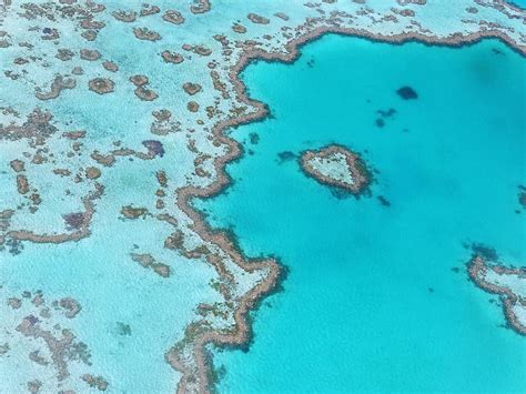 great barrier reef, coral, australia, queensland, ocean, island empire, aerial view, coral reef ...