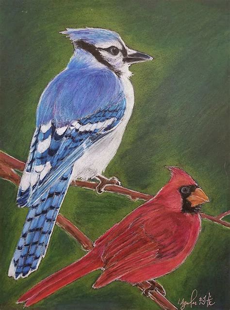 Blue Jay and Cardinal Drawing by Ismael Aguilar - Pixels