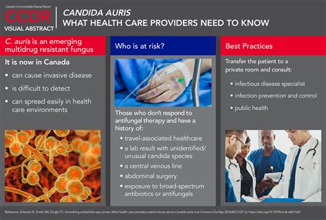 Something wicked this way comes: What health care providers need to know about Candida auris ...