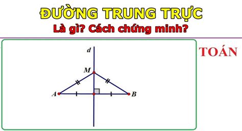 Đường trung trực là gì? Cách chứng minh đường trung trực đơn giản