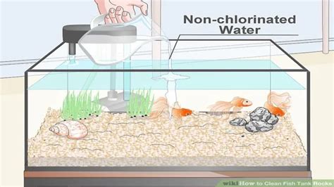 How to Dispose of Aquarium Rocks: A Step-by-Step Guide for Easy and Safe Removal