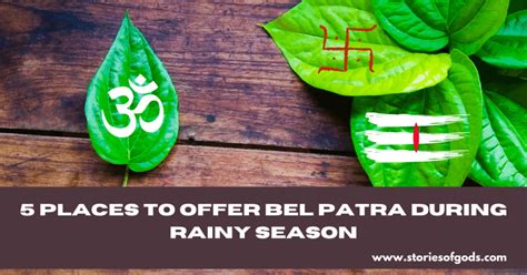 5 places to offer powerful Bel Patra during rainy season - Stories of Gods