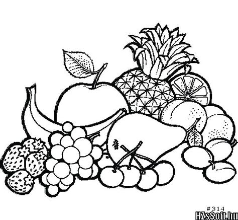 Fruit Line Drawing | Free download on ClipArtMag