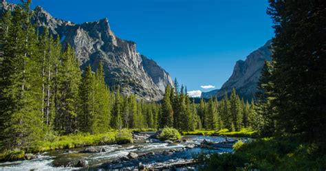 Nine Reasons to Love Wilderness – Wild Montana