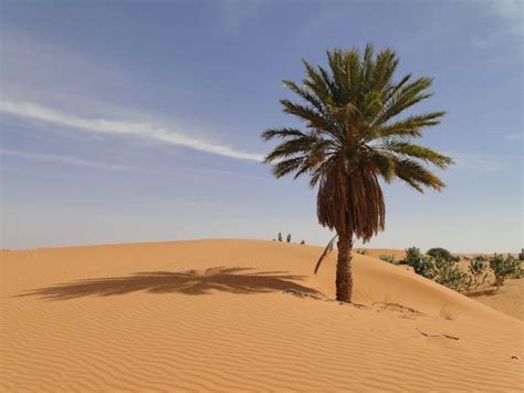 10 Hottest Countries in Africa | I Love Africa