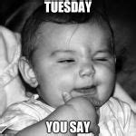 Tuesday Meme Generator - Imgflip