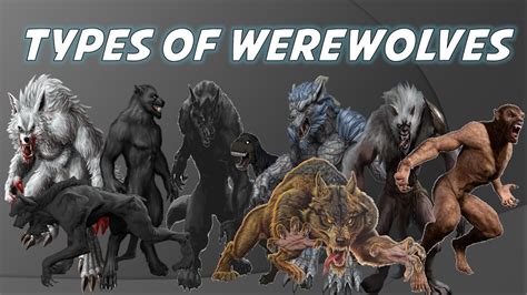 Werewolves :Types and Classes Explained - YouTube