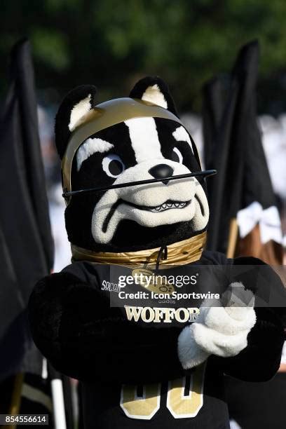 Wofford Mascot Photos and Premium High Res Pictures - Getty Images