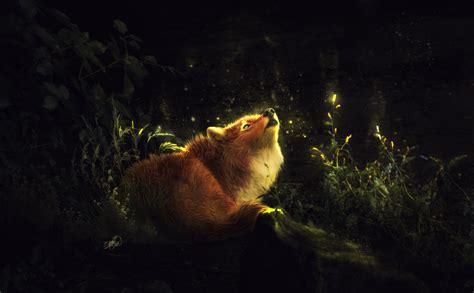 Enchanted Fox - 4K Ultra HD Fantasy Wallpaper by Amphispiza