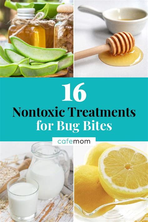 16 Nontoxic Treatments for Bug Bites | Workout food, Bug bites, Bug bite treatment