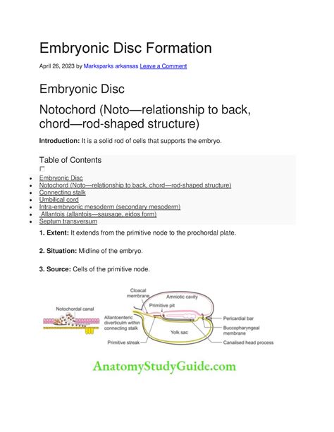 Embryonic Disc Formation - Embryonic Disc Formation April 26, 2023 by Marksparks arkansas Leave ...