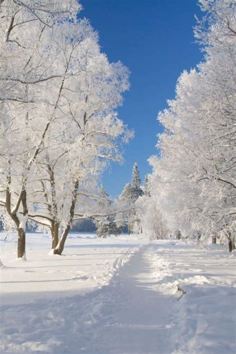 Winter Aesthetic Plus 10 Ways to Get in the Mood For Winter - Shannon ...