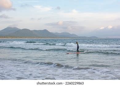 2,547 Florianopolis People Images, Stock Photos & Vectors | Shutterstock