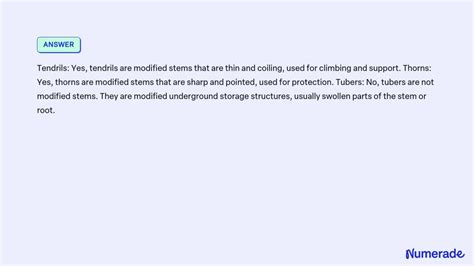 SOLVED: Which of the following are types of modified stems? [Check all ...