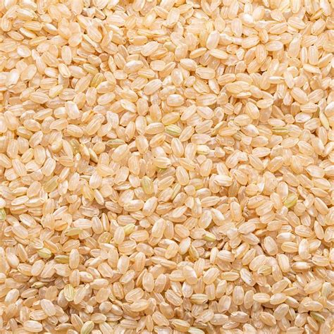 Short Grain Brown Rice- Products | Lundberg Family Farms