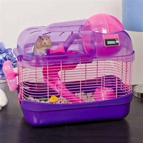 Pin on Hamster and Critters