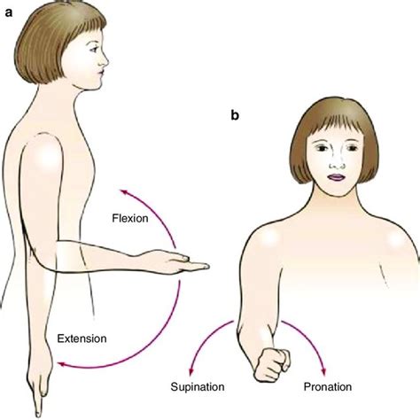 16 Range of motion testing for shoulder joint | Download Scientific Diagram