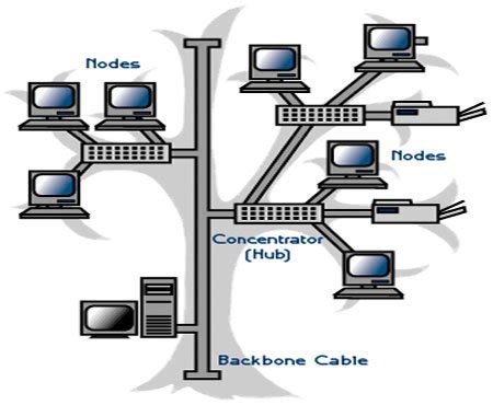 Tree Topology Diagram