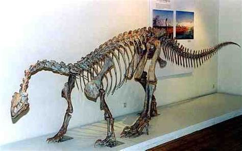 Palaeos Vertebrates: Sauropodomorpha: Prosauropods | Ancient animals, Prehistoric dinosaurs ...