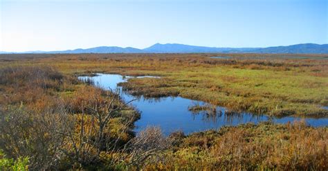 San Pablo Bay National Wildlife Refuge | U.S. Fish & Wildlife Service