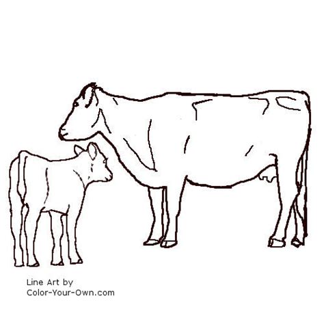 Black Angus Cow and Calf Coloring Page