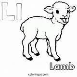 L For Lamb Coloring Page Free Printable PDF sketch template