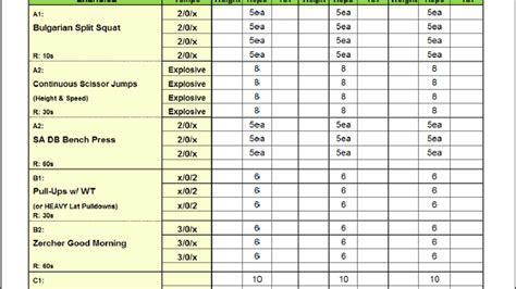 MMA Strength and Conditioning Workout Template