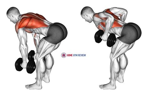 Dumbbell Bent Over Row - Home Gym Review