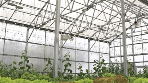 Your Most Common Greenhouse Materials Questions Answered - Greenhouse ...