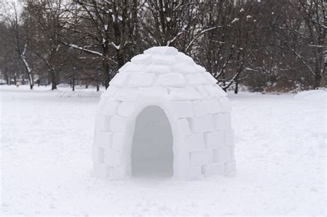 Everything You Need to Build an Igloo | Family Handyman