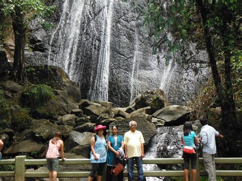 Puerto Rico Cruise Excursions | San Juan Canopy Zip Line Excursion