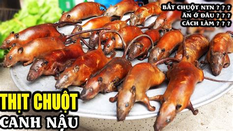 Thịt chuột Hà Nội | bí mật làng nghiện món ăn từ chuột nhất Việt Nam ...