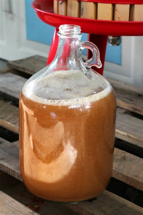 How to Make Hard Cider from Apple Juice - Creative Homemaking