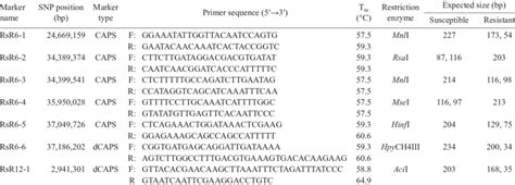 DNA marker information used in this study | Download Scientific Diagram