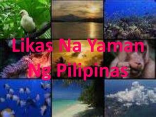 Yamang Tubig Likas Na Yaman Ng Pilipinas - plunge tubig