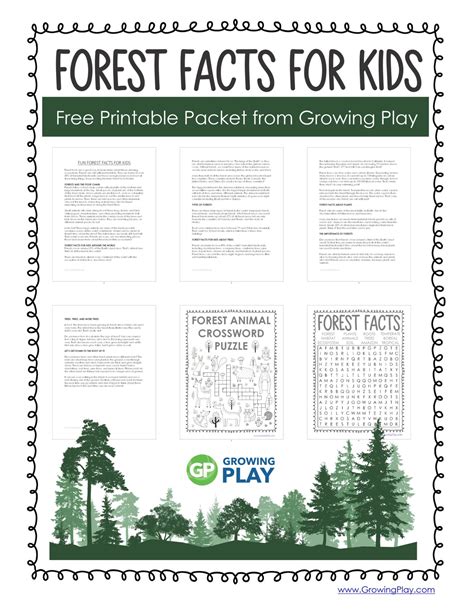 Fun Forest Facts for Kids - Growing Play