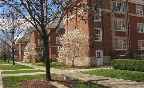 The Ultimate Ranking Of Freshman Dorms At The University of Illinois ...