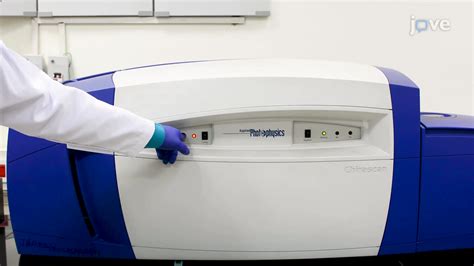 The Circular Dichroism Spectroscopy Technique to Study DNA-Protein Interactions