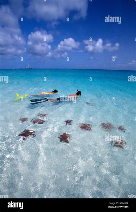 Couple snorkeling with sea stars along Grace Bay Beach Provo Turks ...