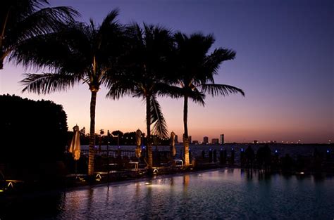 Pool at the Standard Hotel - Miami Beach, FL | Chris Goldberg | Flickr