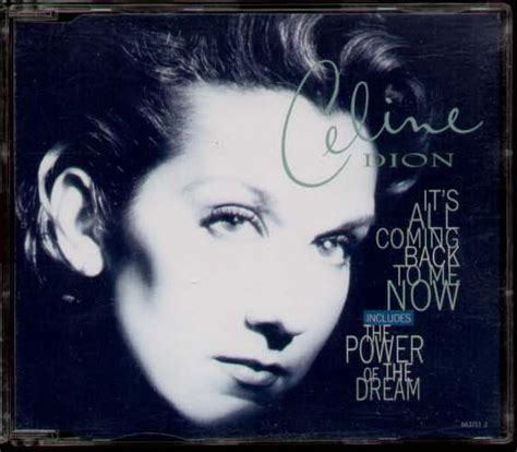 Celine Dion - It's All Coming back to me now - used Import CD single – borderline MUSIC